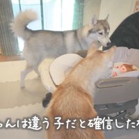 「絶対違うよね…？」