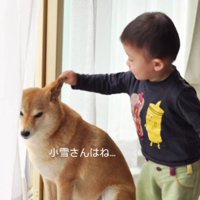 生前の小雪ちゃんは…