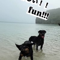 「海だーーいすき！！」