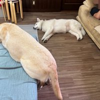 仲良し