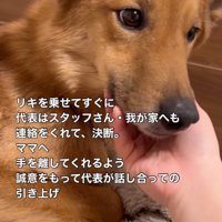 撫でられる