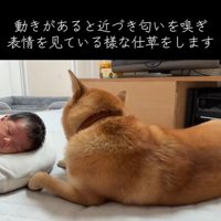 まるでお母さんのよう！