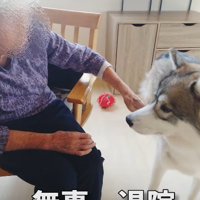 おばあちゃんが退院！！
