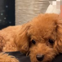 「ここは私の場所だからね」