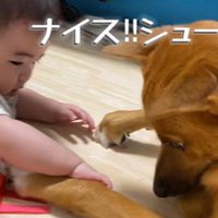 そらちゃんと赤ちゃん8