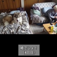 4回目の嘘でしょを言うおばあちゃん