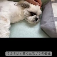 どうしたんだろう