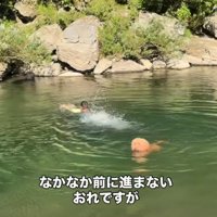 泳ぐのが上手くない