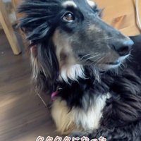 歯ブラシっぽい？