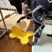 器用なティナちゃん