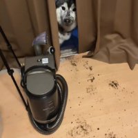 犯人は明らか！？