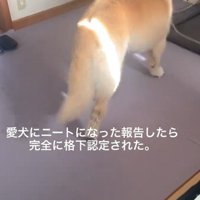 「ニートに用はない」