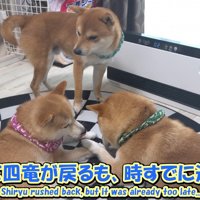 幾三くんに場所を取られてしまいました！