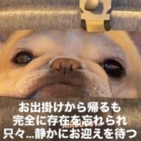 カートで過ごすのが好き