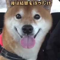 ニコニコ笑顔で待機