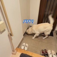 パパが隠れた時のれお君4