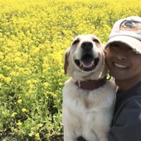 花畑で人に抱かれる犬