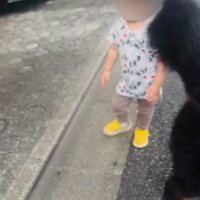 尻尾が直撃する男の子2
