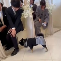 においを嗅ぐラックくん