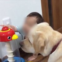おもちゃ