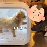 やっぱりハナちゃんが心配…