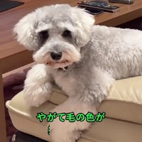 ？？