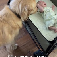 赤ちゃんが動くと、気になっちゃう