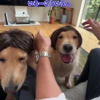 こういう人いそう…