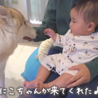 にこちゃんが登場！