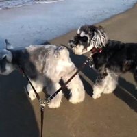 海にやってきました♪