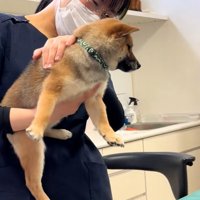 優しいスタッフさん