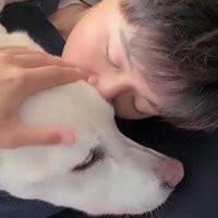 男の子に抱きしめられながら眠る犬