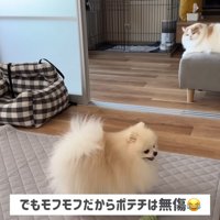 「怒られちゃった～…」