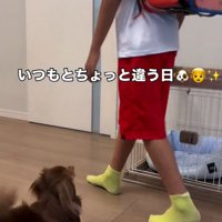 お見送りするアムくん
