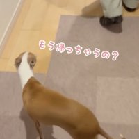 楽しい時間はあっという間