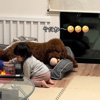 きんとん君VS男の子5