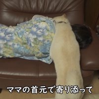 首元にぴとっ♡