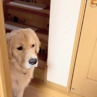「置いて行かれる流れでは…？」