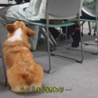 「もう終わり？」