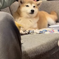 さっきまでと様子が違う…