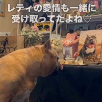 「元気に過ごしてるよ」