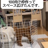 スペースを広げたケージ