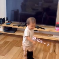 笑顔で子犬を見つめる男の子