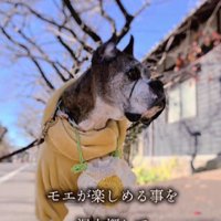 ロノちゃんの思い出と生きていく