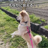 喜ぶ投稿主さん
