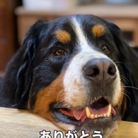 たくさんの愛をありがとう
