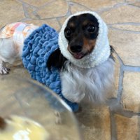 心が折れることもあったけど…