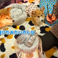 焼き芋ができました！