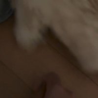 手を振りほどくかまぼこちゃん