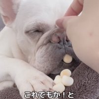 どんどん作戦が大胆に